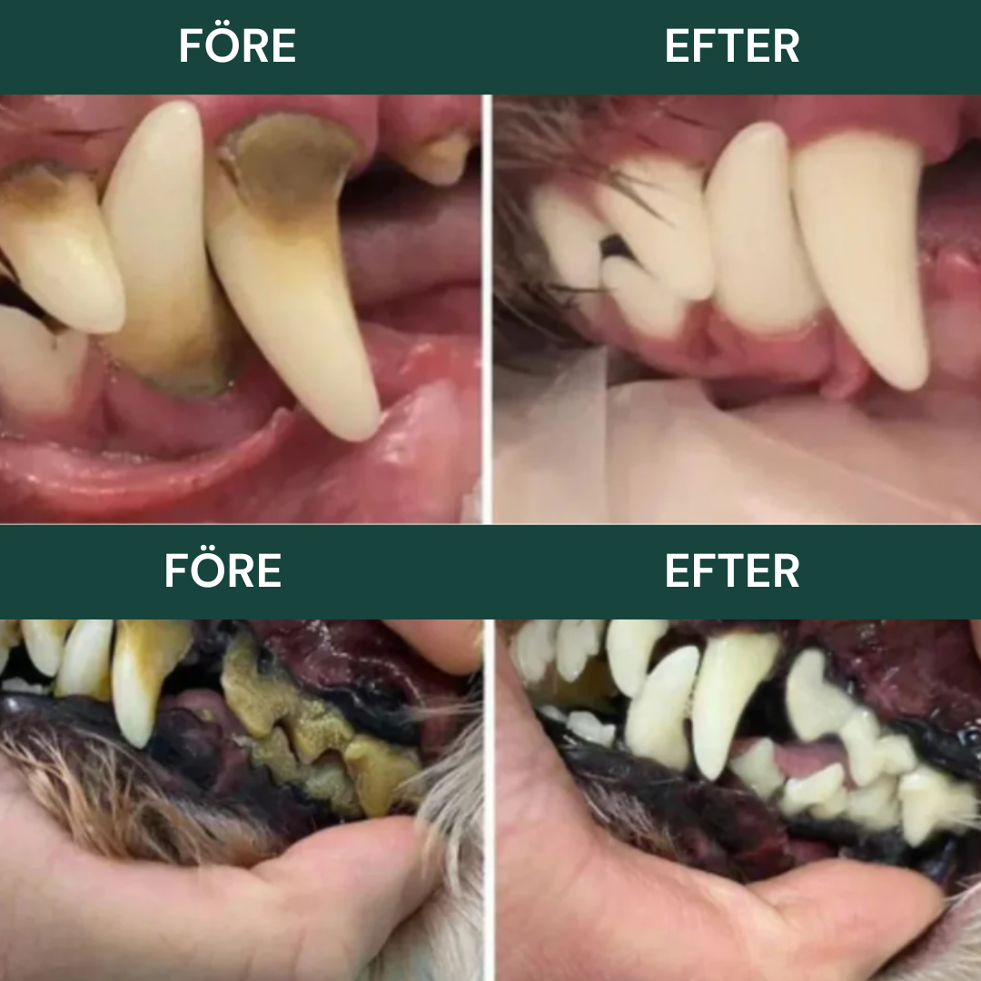 Sonisk vibrationsteknik –