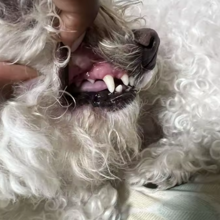 Review by Anna Jonsson