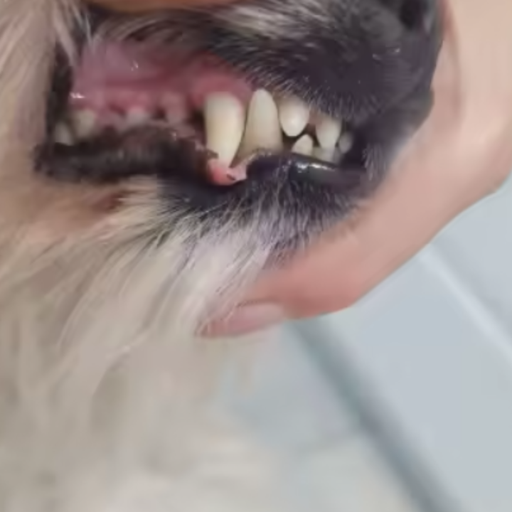 Review by Jasmine Falk