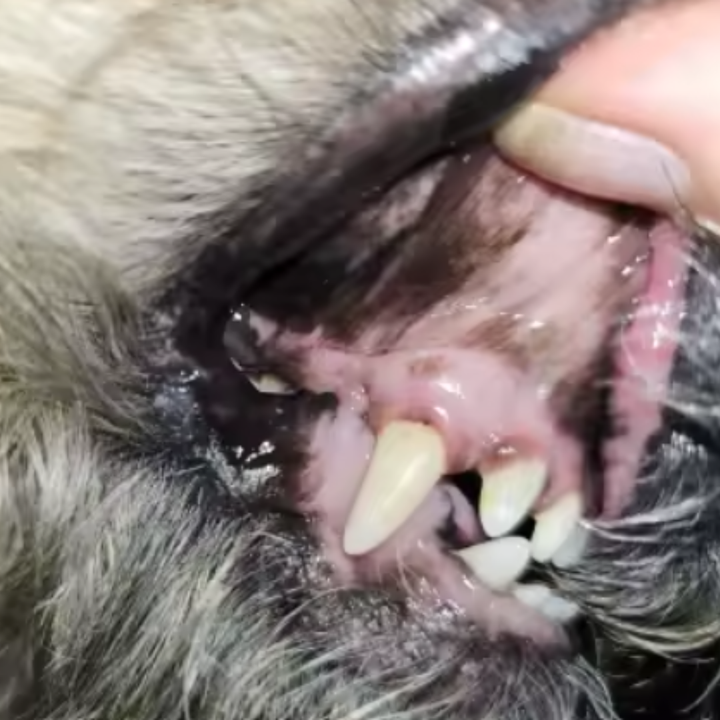 Review by Sandra Glam