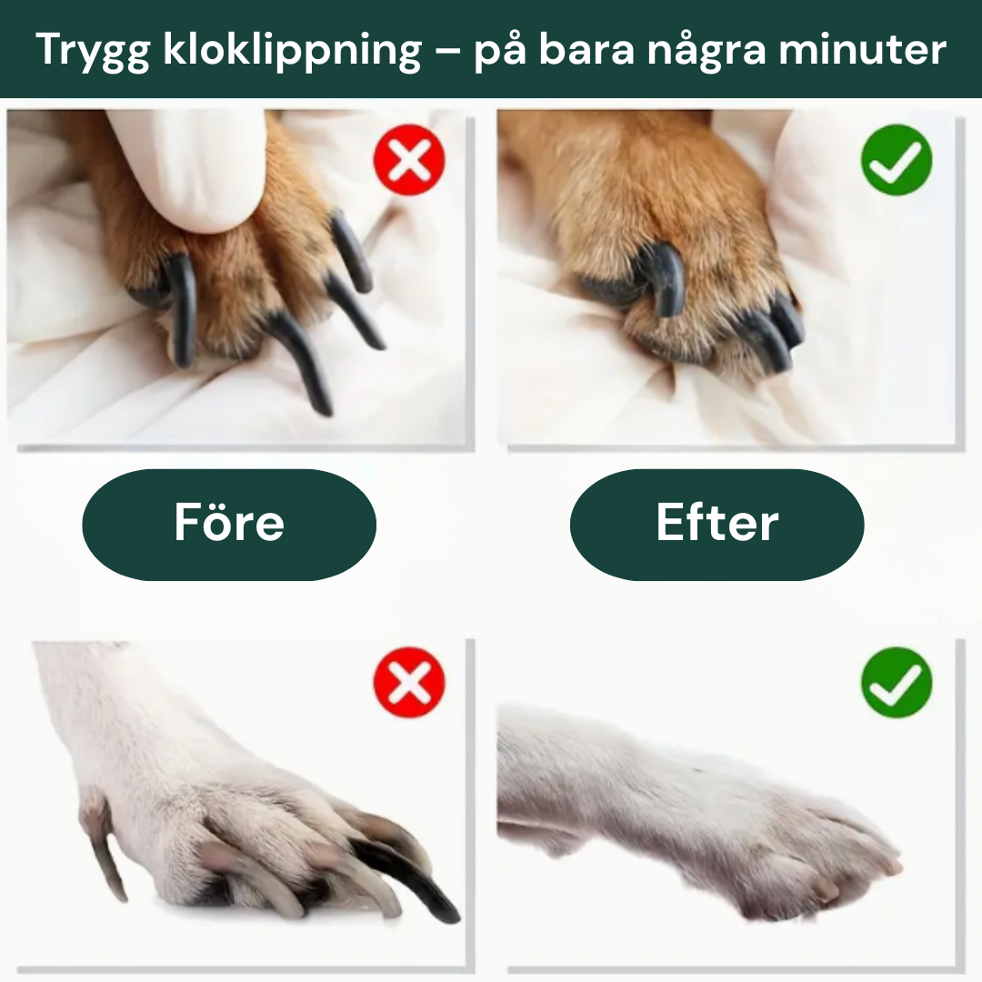 Spara både pengar och nerver –