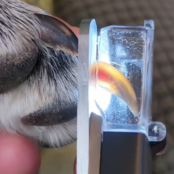 Review by Johan Bergström