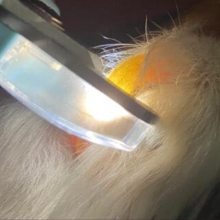 Review by Sandra Ask