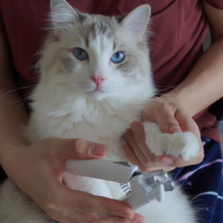 Review by Jessika Larsson