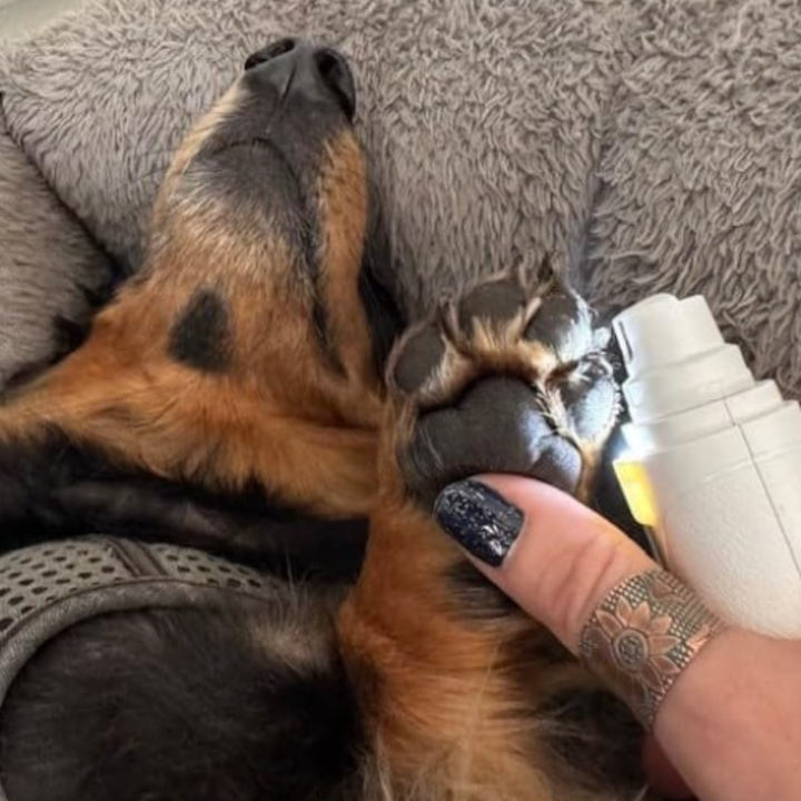 Review by Hanna Sjöblom