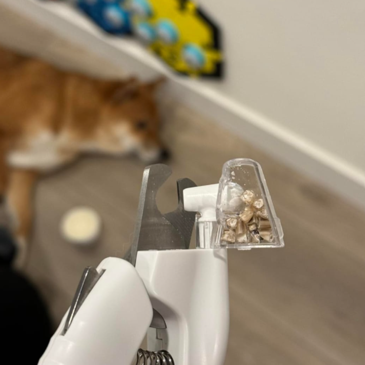 Review by Niklas Ask